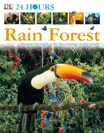 Cover: Rain Forest Coloring Book - Bernhard