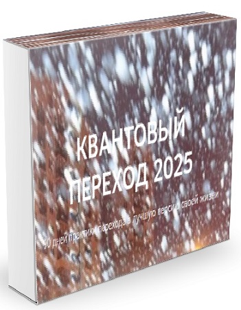 постер к Нико Бауман - Квантовый переход в 2025 год (Аудиокурс)