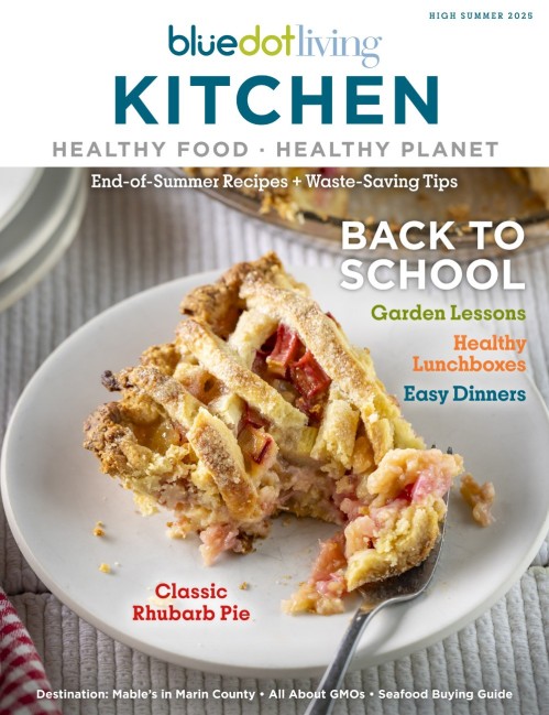 Bluedot Living Kitchen - High Summer 2025