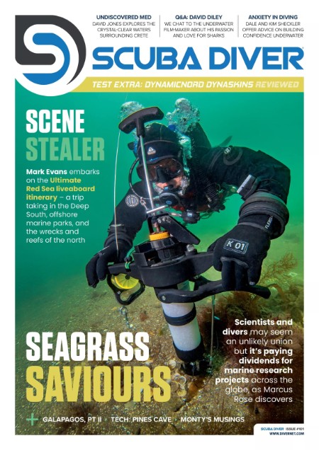 Scuba Diver No 101 2025