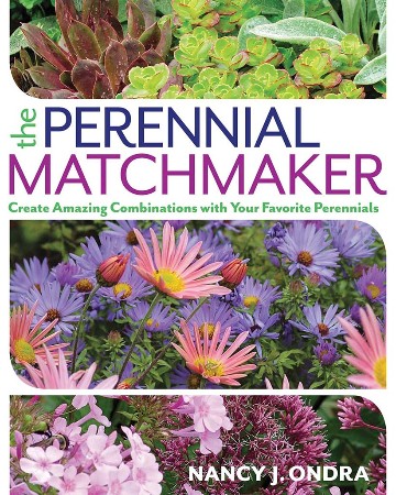 Cover: The Perennial Matchmaker - Ondra