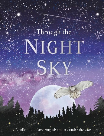Cover: Through the Night Sky - DK
