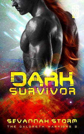 Cover: Dark Survivor - Storm