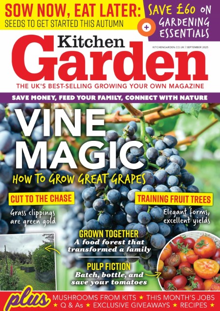 Kitchen Garden September 2025