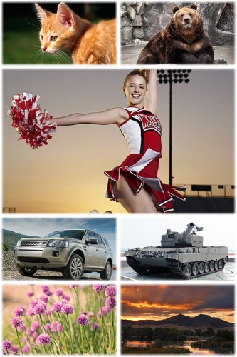 ���� ��� �������� ����� - Wallpapers Mix �1960 (1920x1080 - 7952x5304) (583 ��.) (2025) JPEG