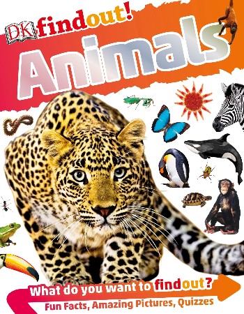 Cover: DKfindout! Animals - DK