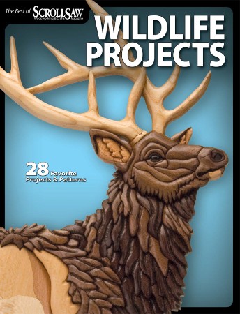 Cover: Wildlife Projects - Lora S. Irish