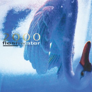 Fleshwater - 2000: In Search Of The Endless Sky (2025)