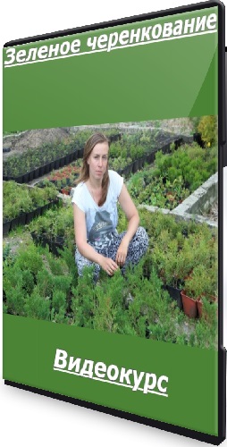 Ольга Борисова - Зеленое черенкование (Тариф Все сам) (2025) Видеокурс