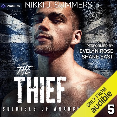 Cover: The Thief - Nikki J Summers