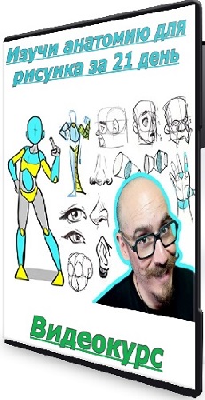 постер к [21Draw] Изучи анатомию для рисунка за 21 день (2025) Видеокурс