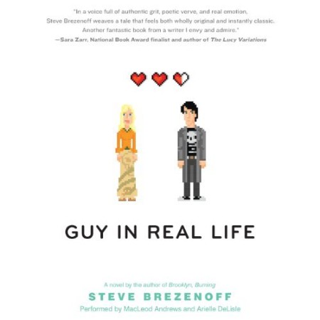 Cover: Guy in Real Life - Steve Brezenoff