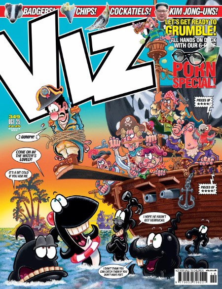 VIZ No 349 2025