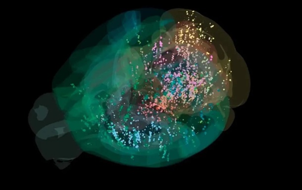 Ученые создали первую подробную карту принятия решений в мозге