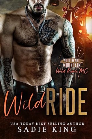 Cover: Brendt, Andreas - Wild Ride
