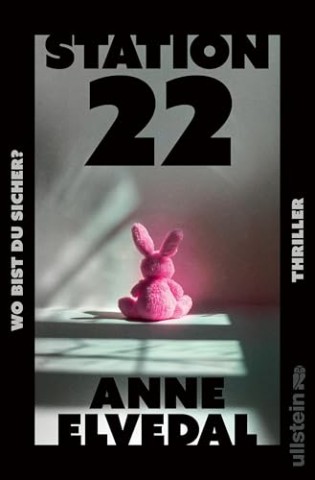 Cover: Anne Elvedal - Station 22. Wo bist du sicher