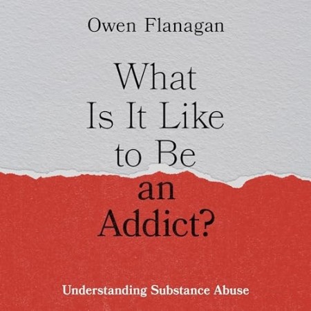 Cover: What Is It Like to Be an Addict? - Owen Flanagan