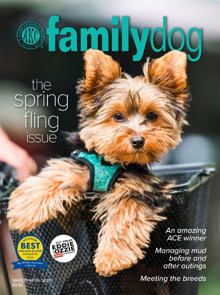 Familydog - March-April 2025