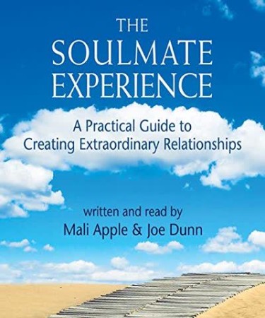 Cover: The Soulmate Experience - Joe Dunn, Mali Apple