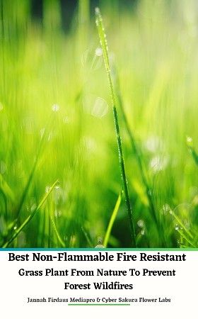 Cover: Best Non-Flammable Fire Resistant Grass Plant From Nature to Prevent Forest Wildfires Hardcover Edition - Mediapro, Jannah Firdaus