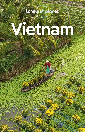 Cover: Vietnam - Nick Ray