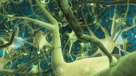 https://i125.fastpic.org/big/2025/0908/c4/f5300728114d5a7d3baa155bebda3cc4.jpg