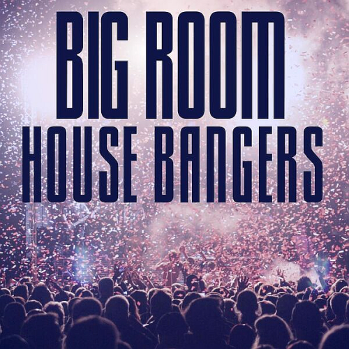 Big Room House Bangers (2025)