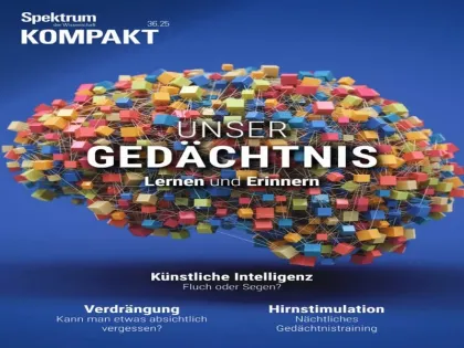 426b2657a30a967131675c05d650cbab.webp