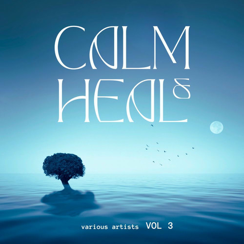 Calm And Heal Vol. 3 (2025) FLAC