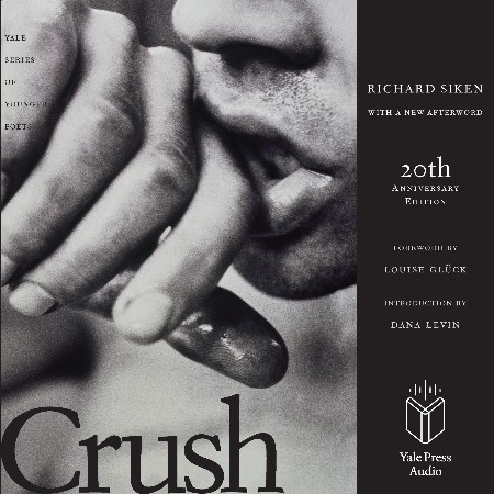Cover: Rough Fascination - Melissa Schroeder