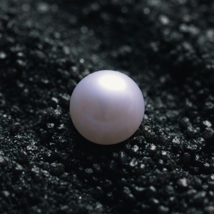 Future Palace - Cyclone [Single] (2025)