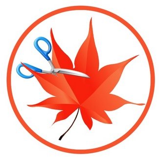 [Image: 23875fa7ec46fa24f74fe7f7192395e7.jpg]