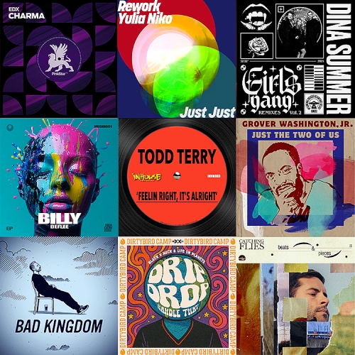 Hot DJ Charts Picks 232 (2025)