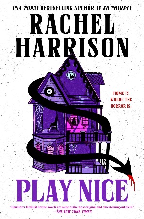 Cover: Play Nice - Rachel Harrison