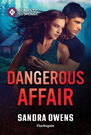 Cover: Dangerous Affair - Owens, Sandra