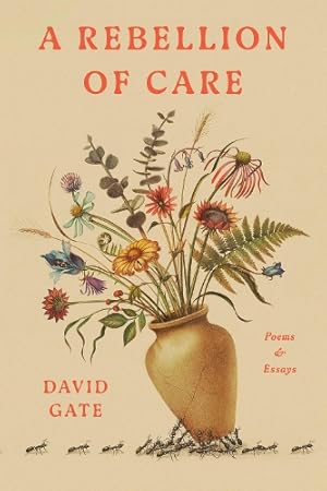 Cover: A Rebellion of Care - David Gate