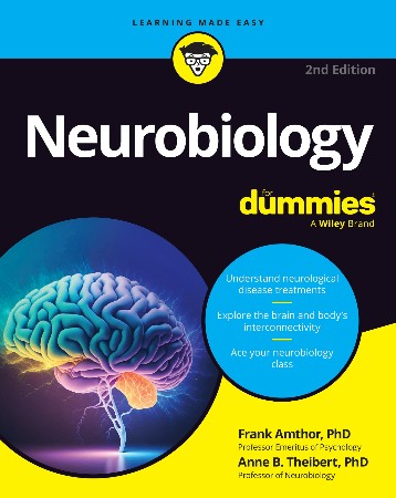 Neurobiology For Dummies 2nd Edition - Amthor, Frank