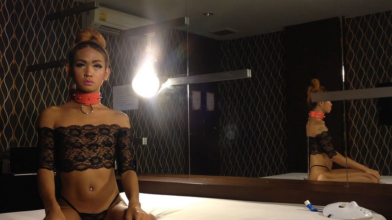 Iceland Femboy Sex Slave (LadyboyVice) FullHD 1080p