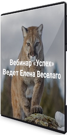 постер к [Институт Открытого поля, Елена Веселаго] Успех (2025) Вебинар