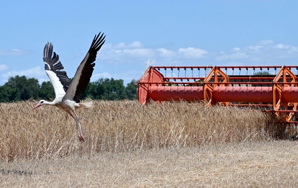 В Украине собрали почти 30 млн тонн зерна нового урожая