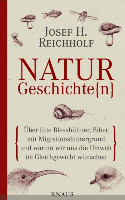 Naturgeschichte(n): Über fitte Blesshühner, Biber mit Migrationshintergrund und warum wir uns die Umwelt im Gleichgewicht wünschen - Reichholf, Josef H. Naturgeschichte(n): Über fitte Blesshühner, Biber mit Migrationshintergrund und warum wir uns die Umwelt im Gleichgewicht wünschen - Reichholf, Josef H.