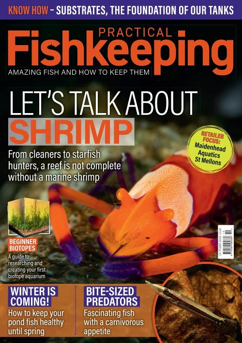Practical Fishkeeping – October 2025