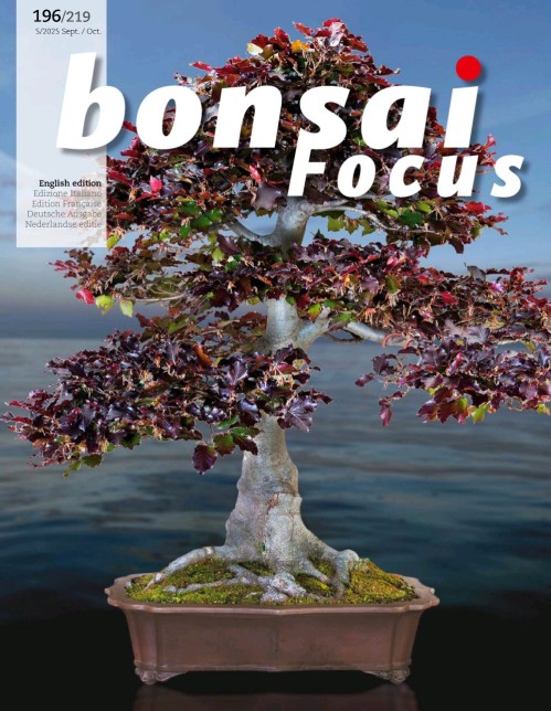 Bonsai Focus – September/October 2025