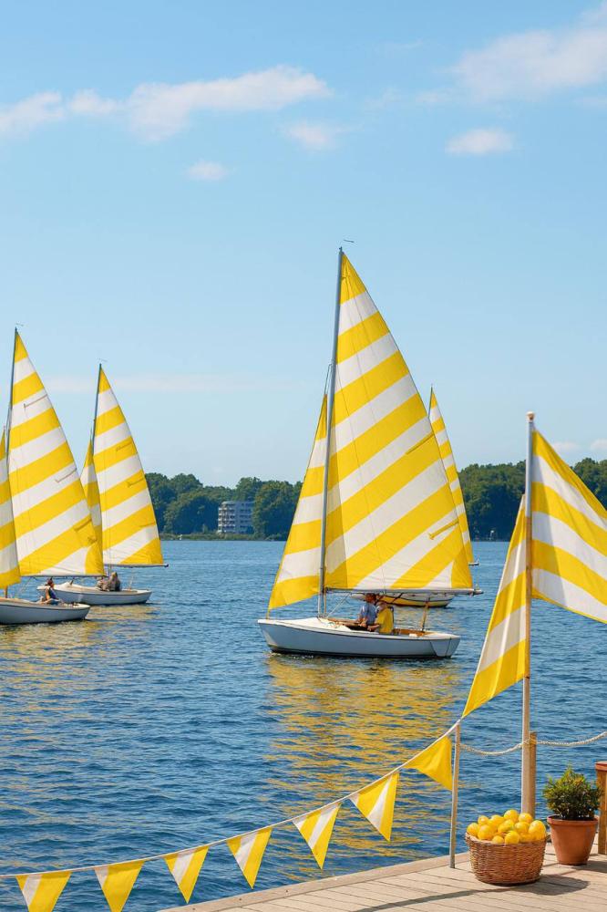 Wellness-регата