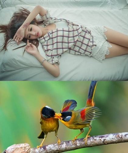 Best Wallpapers Mix Collection 11