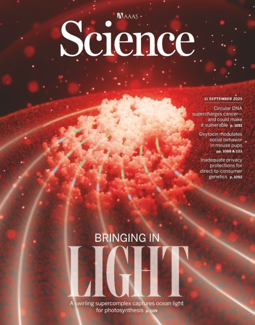 Science - Volume 389 Issue 6765, 11 September 2025