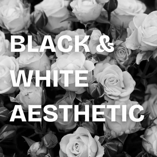 black & white aesthetic (2025) black & white aesthetic (2025)