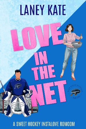 Cover: Love in the Net - Laney Kate