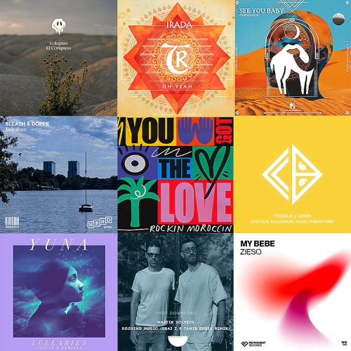 AFRO HOUSE Tracks 25 Summer (2025 DJs)