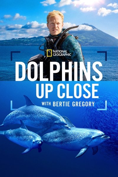 Dolphins Up Close with Bertie Gregory (2025) 1080p WEB h264-EDITH Dolphins Up Close with Bertie Gregory (2025) 1080p WEB h264-EDITH